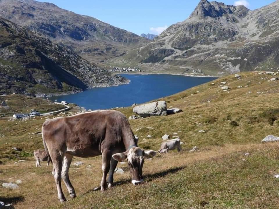 Mansarda Vista Lago A Campodolcino Exterior foto